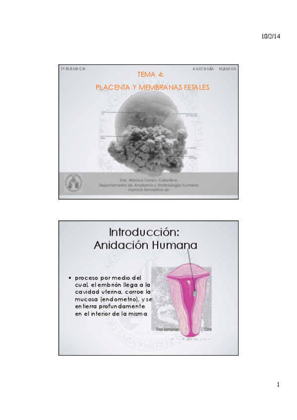 Miniatura del documento TEMA 4-Placenta y membranas fetales.pdf