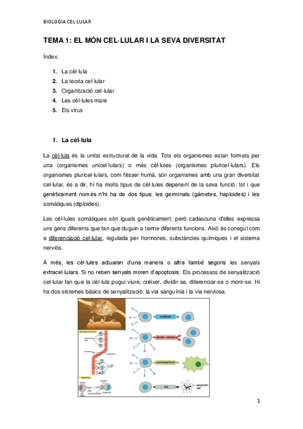 Miniatura del documento TEMA-1.pdf