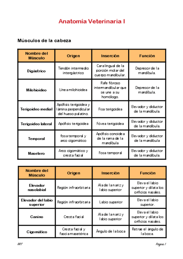 Miniatura del documento Miologia-origen-e-insercion.pdf