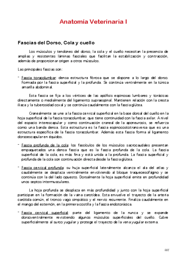 Miniatura del documento Riego-y-drenaje-del-dorso-cola-y-cuello.pdf
