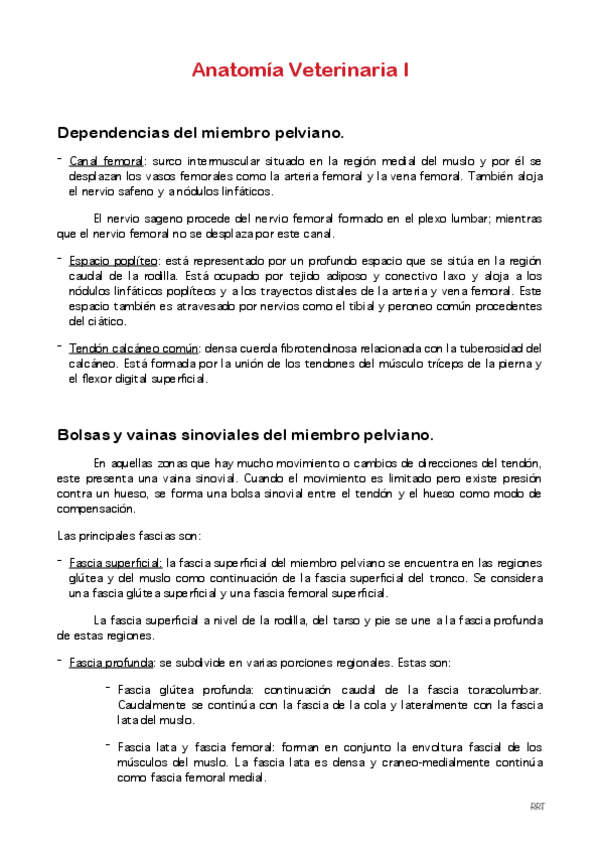 Miniatura del documento Riego-y-Drena-miembro-pelviano.pdf