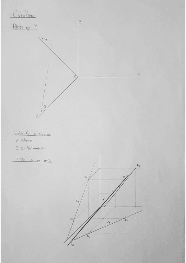 Miniatura del documento Caballera.pdf
