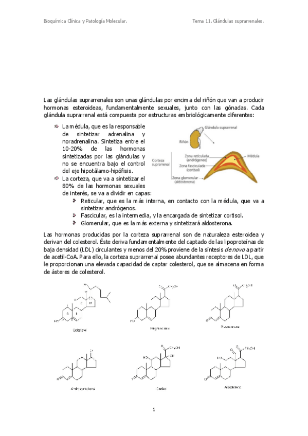 Miniatura del documento T11.pdf