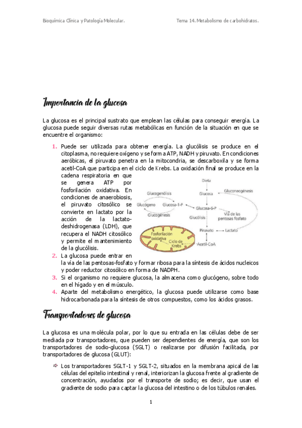 Miniatura del documento T14.pdf