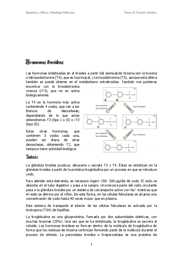 Miniatura del documento T10.pdf