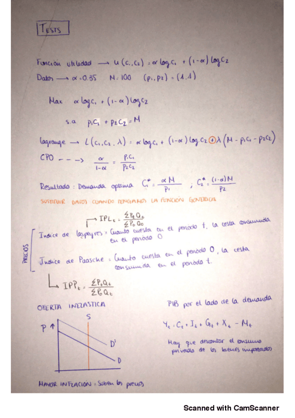 Miniatura del documento TESTSEXAMEN.pdf