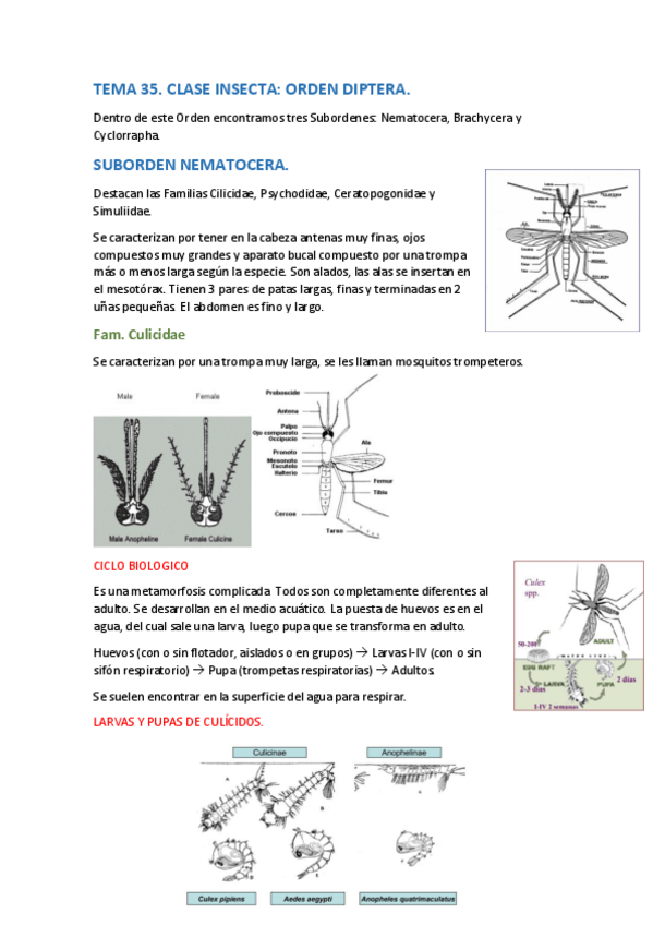 Miniatura del documento Para-T-35.pdf