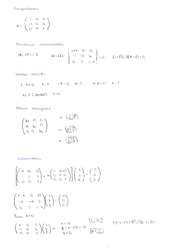 Miniatura del documento IMG201907160007.pdf