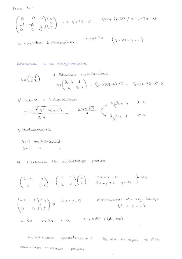 Miniatura del documento IMG201907160008.pdf