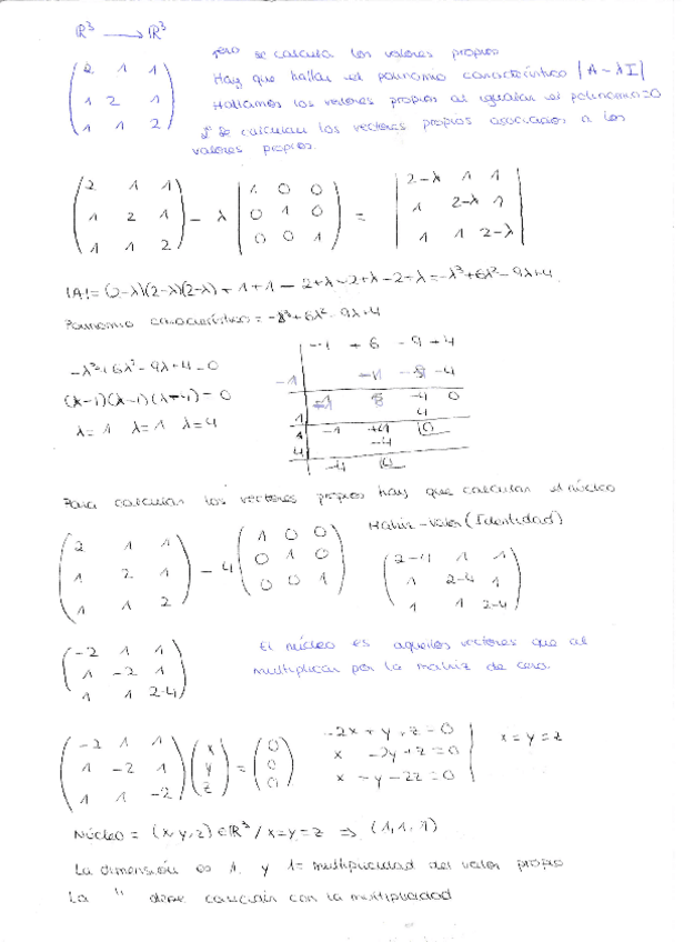 Miniatura del documento IMG201907160003.pdf