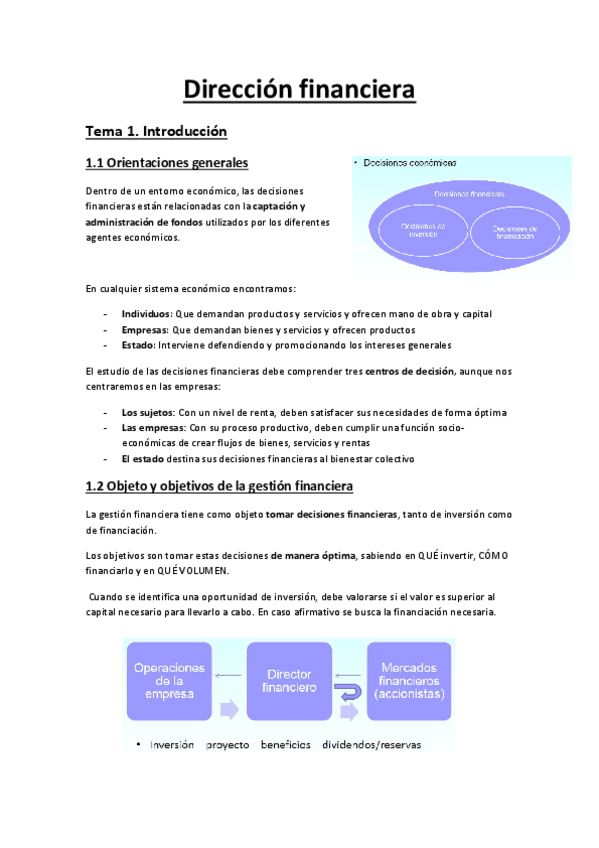 Miniatura del documento Resumen-Direccion-Financiera.pdf