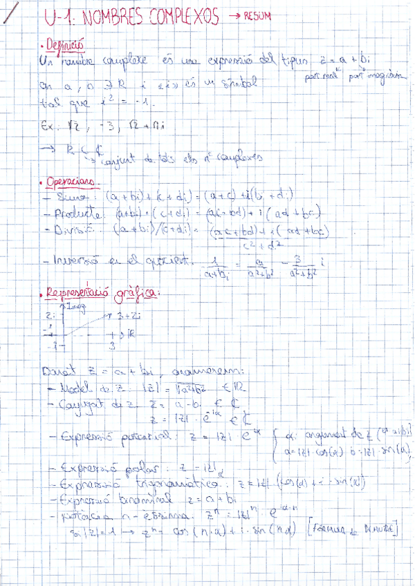 Miniatura del documento resum-parcial.pdf