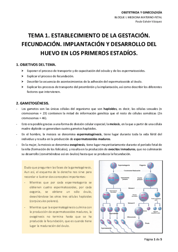 Miniatura del documento TEMA-1.pdf