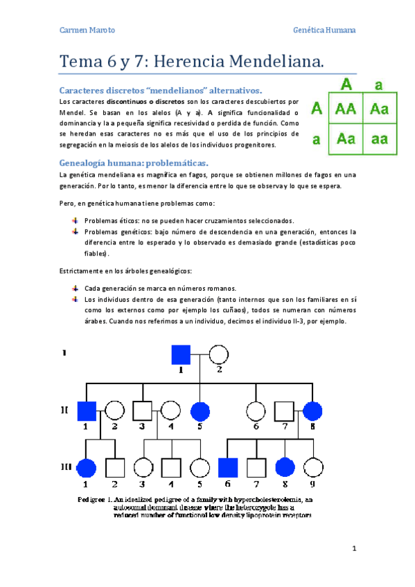 Miniatura del documento Tema 6 y 7.pdf