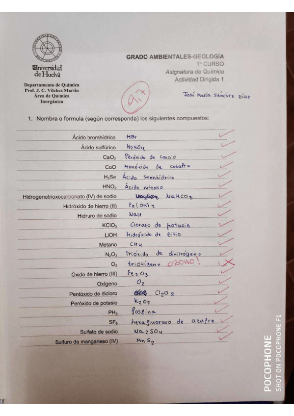 Miniatura del documento actividad-dirigida-1.pdf