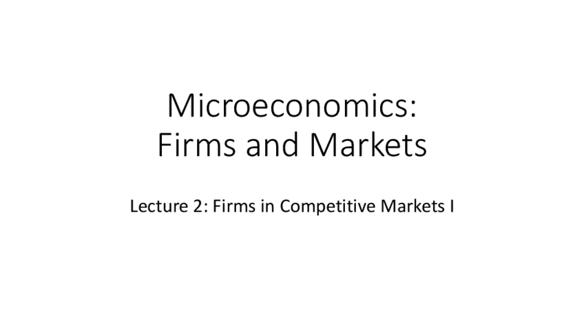 Miniatura del documento L2-Competitive-Firm-I.pdf