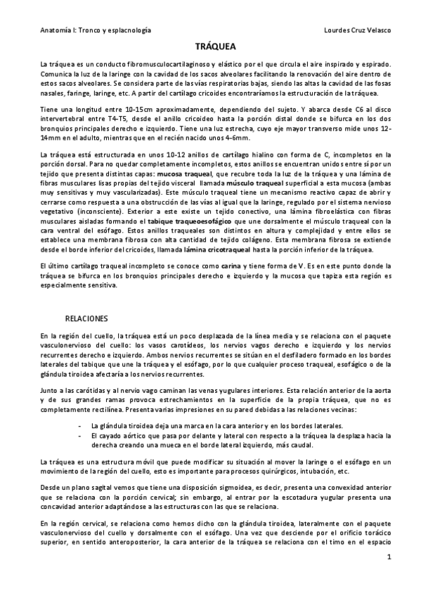 Miniatura del documento TRAQUEA.pdf