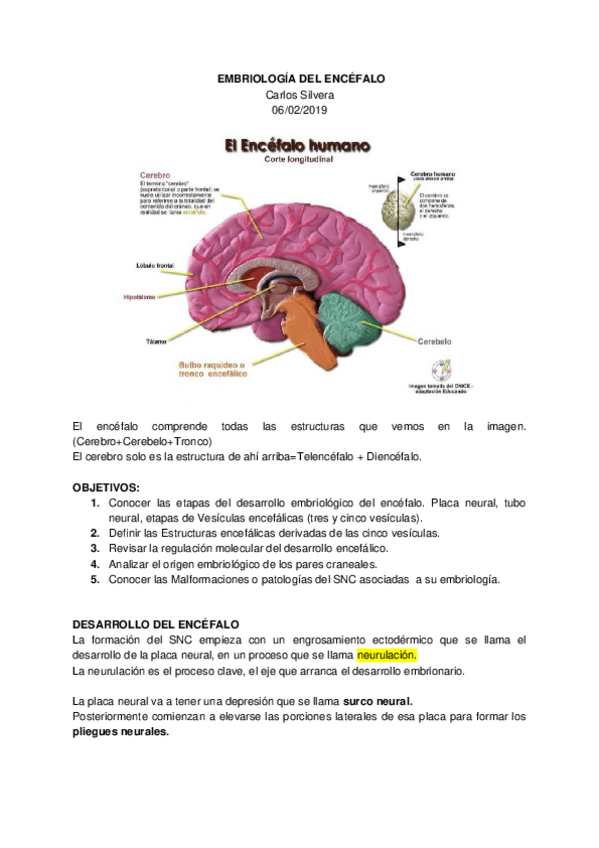 Miniatura del documento 9.docx