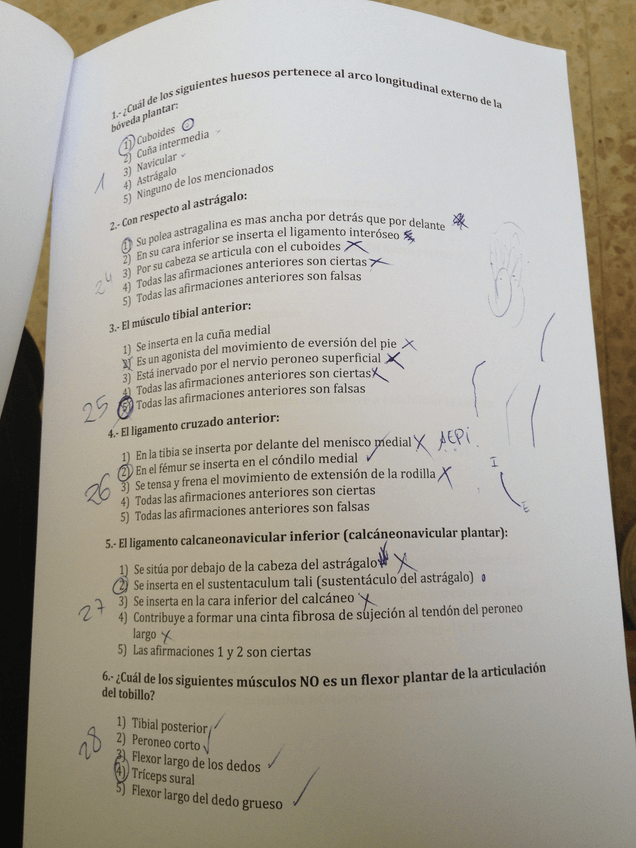 Miniatura del documento Foto-25-01-13-10-14-00.jpg