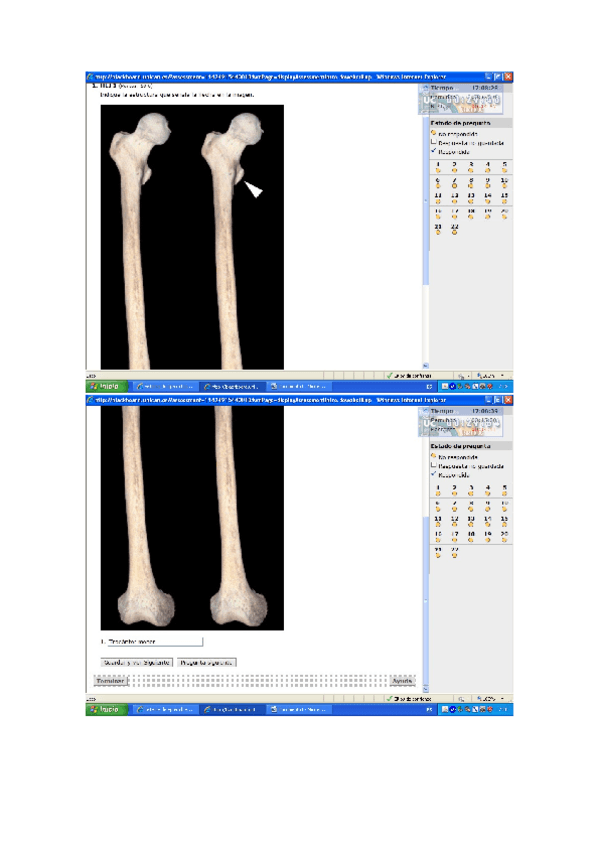 Miniatura del documento Examen-4.docx