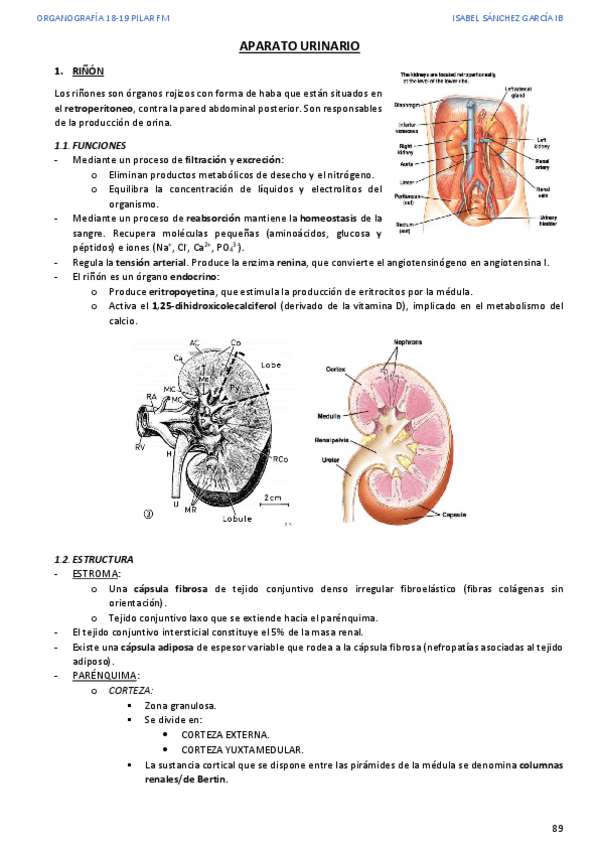Miniatura del documento 6.pdf