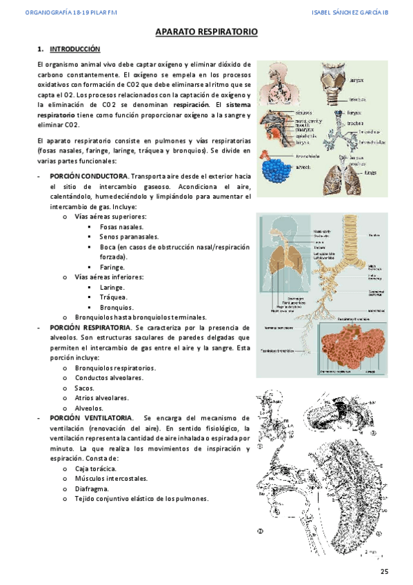 Miniatura del documento 3.pdf