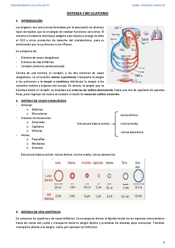 Miniatura del documento 1.pdf