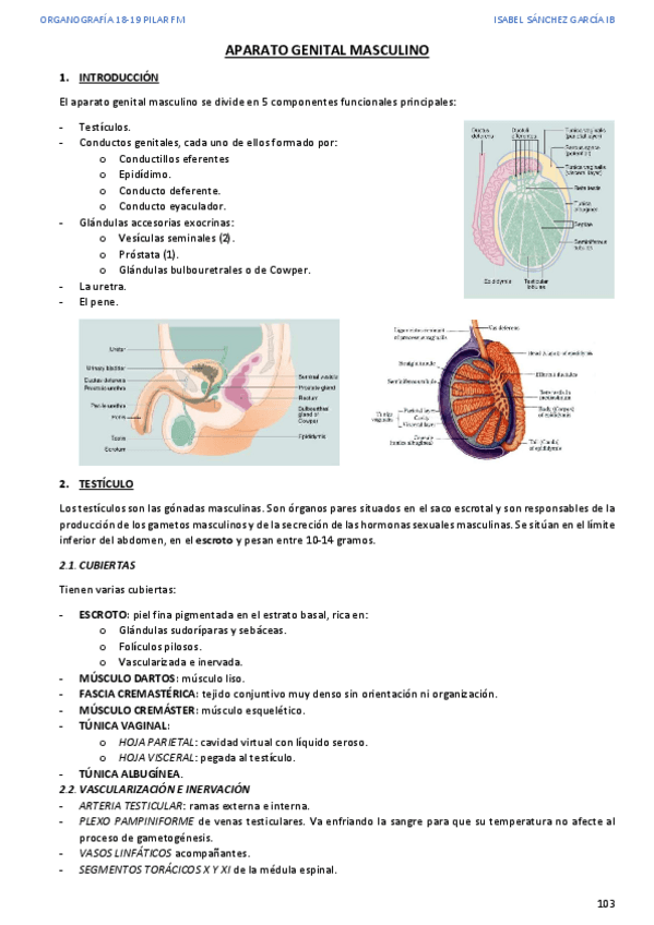 Miniatura del documento 7.pdf
