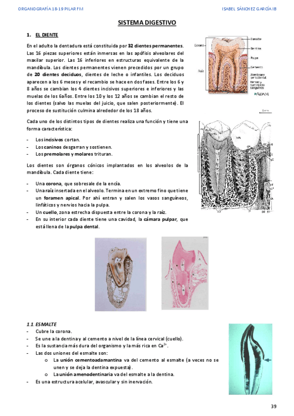 Miniatura del documento 4.pdf
