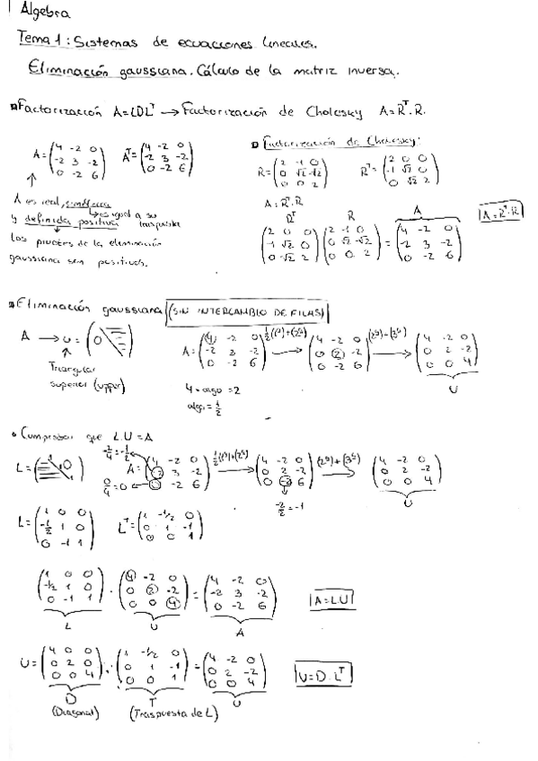 Miniatura del documento Resumen-tema-1.pdf