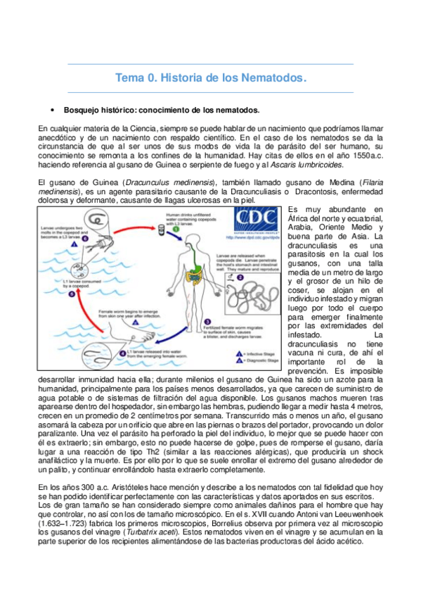 Miniatura del documento nematología.pdf