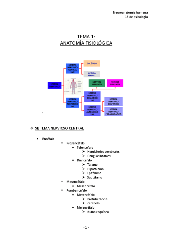 Miniatura del documento TEMA-1.pdf