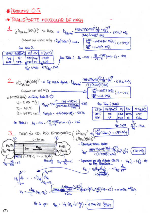 Miniatura del documento Transporte-Molecular-Masa.pdf
