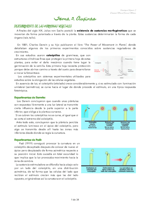 Miniatura del documento TEMA-3-FISIOLOGIA-VEGETAL-II.pdf