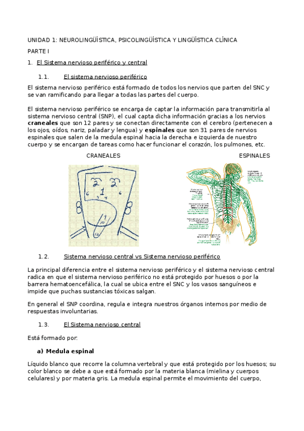 Miniatura del documento TEMA-1.docx