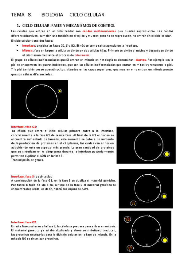 Miniatura del documento BIOLOGIA-1.pdf