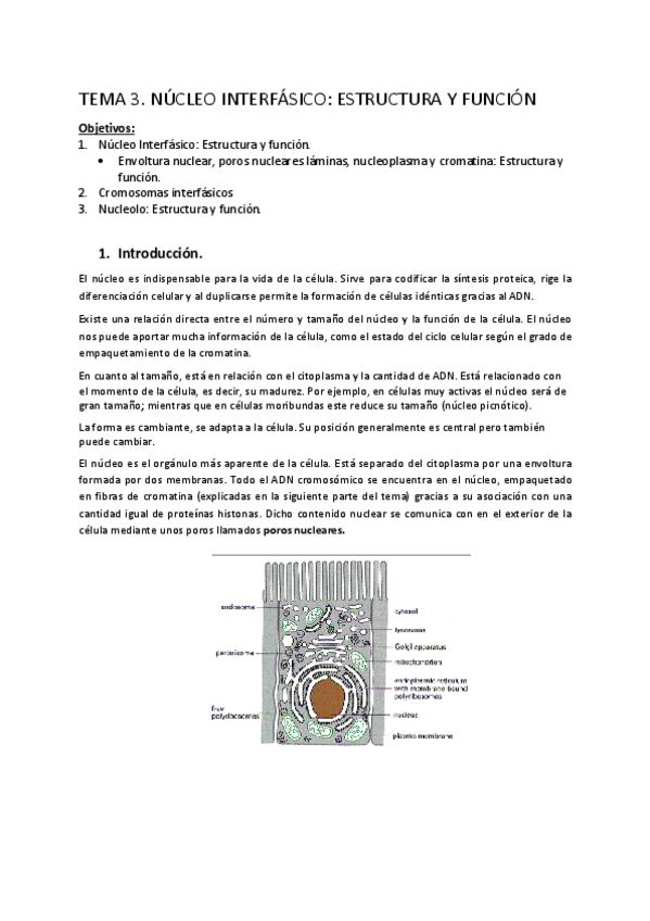 Miniatura del documento BIOLOGIA-1.pdf