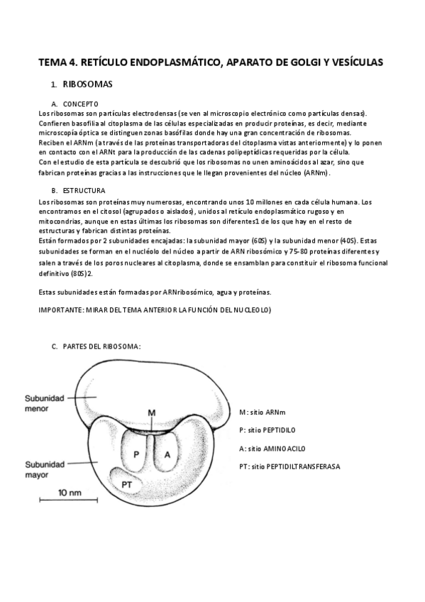 Miniatura del documento BIOLOGIA-1.pdf