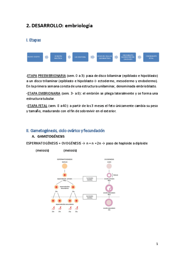 Miniatura del documento T2.pdf