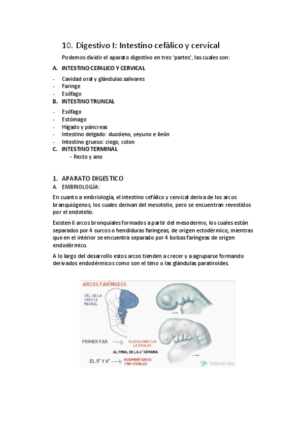 Miniatura del documento T10.pdf