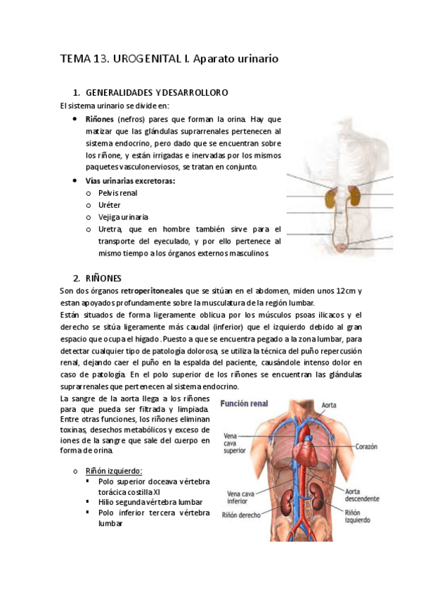 Miniatura del documento t13.pdf