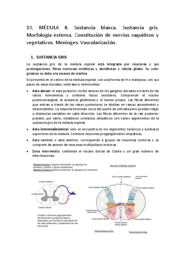 Miniatura del documento T19.pdf