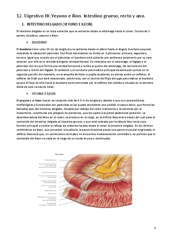 Miniatura del documento T12.pdf