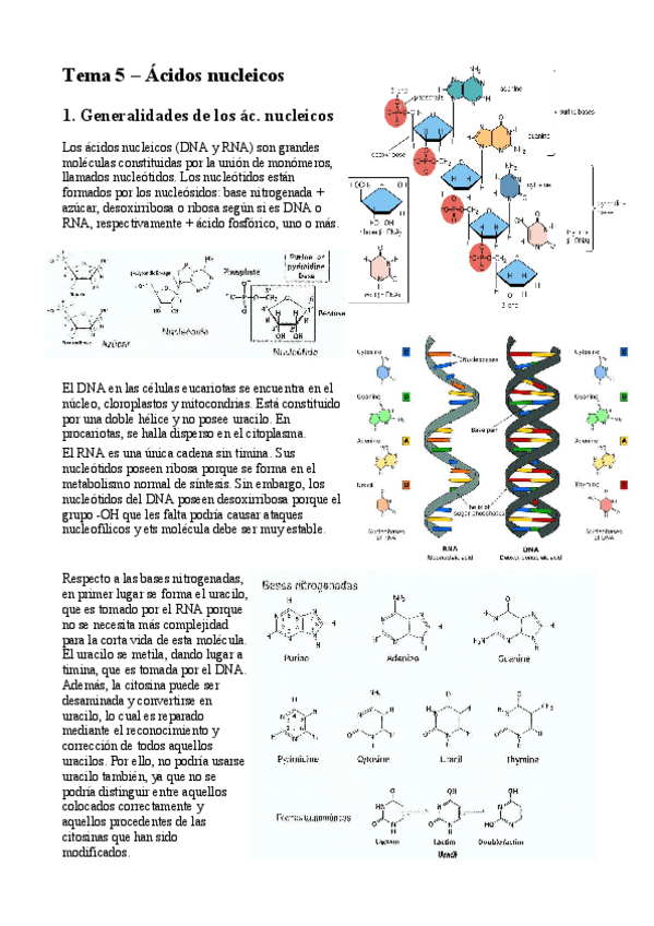 Miniatura del documento BIOQ-TEMA-5.pdf