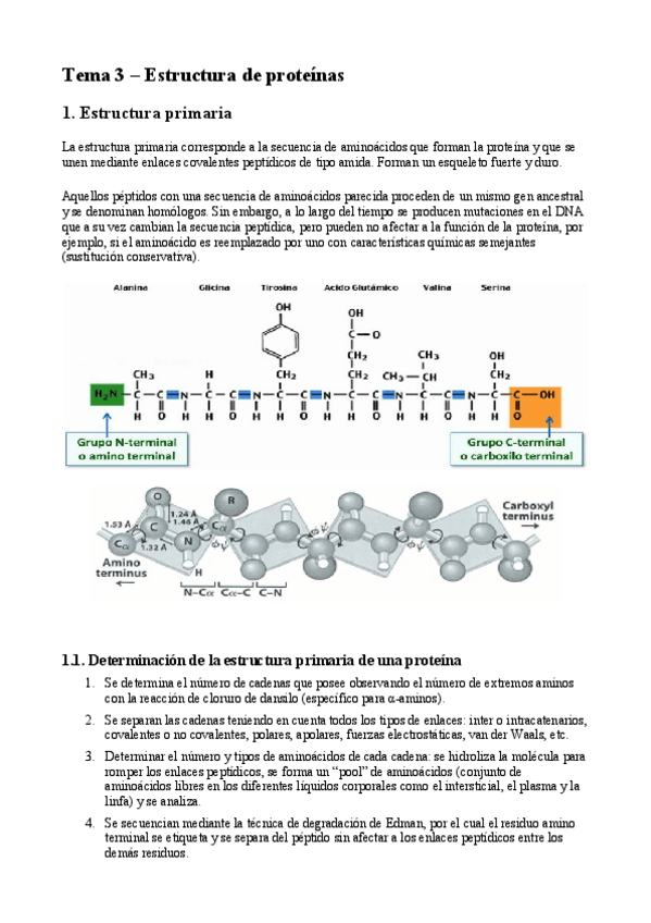 Miniatura del documento BIOQ-TEMA-3.pdf