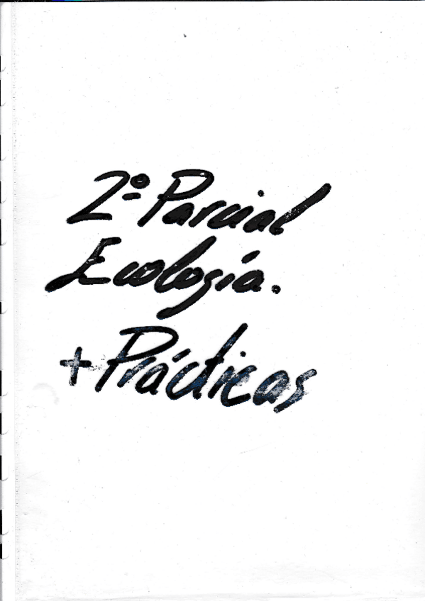 Miniatura del documento final.pdf