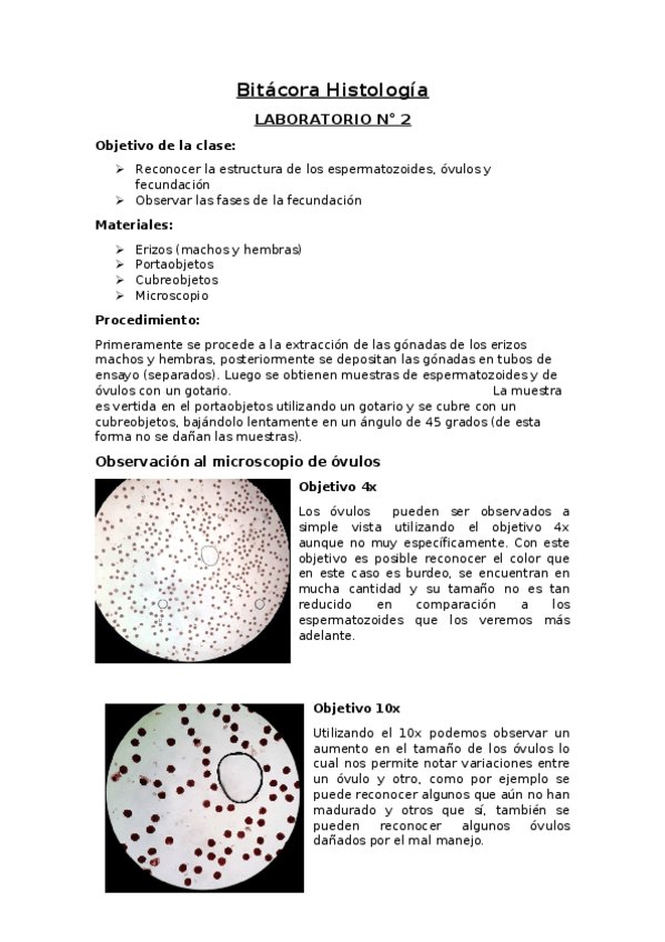 Miniatura del documento Estructura-de-los-espermatozoides-ovulos-y-fecundacion.docx