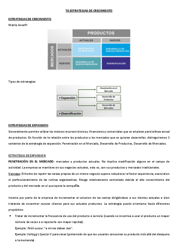 Miniatura del documento T6-MKT-ESTR-SANTIAGO.pdf