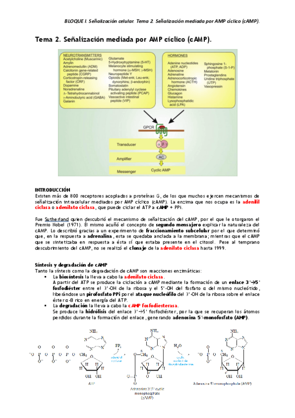 Miniatura del documento BLOQUE-I.pdf