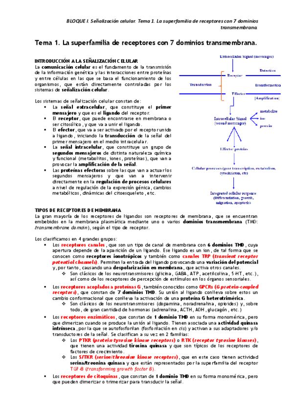 Miniatura del documento BLOQUE-I.pdf